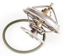 10209 | TERMOSTATO 83º WAHLER