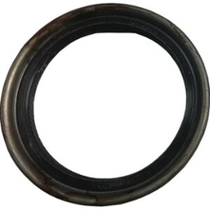 10339 | RETEN BRIDA TRASERA DE CAJA SABO