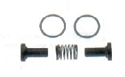 1123 | REPARACION BOMBIN CEBADOR (VALVULAS BAKELITA Y RESORTES) TRUCKTEC