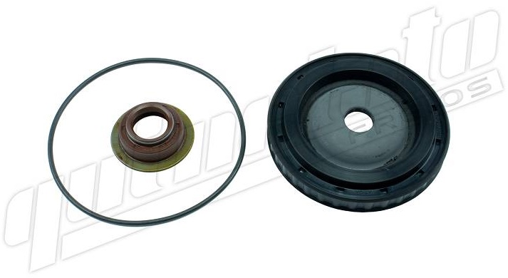 11347 | REP. CILINDRO ALTA Y BAJA CON PISTON CAJA ZF QUINELATO
