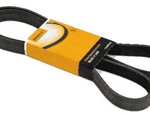 12504 | CORREA POLY V 10PK1515 CT CONTITECH