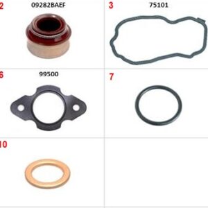 12885 | KIT DESCARBONIZACION SABO