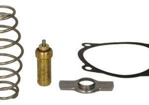 14602 | JGO. REPARACION TERMOSTATO IMP.
