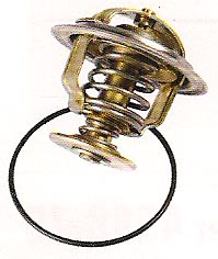 2666 | TERMOSTATO 80º WAHLER