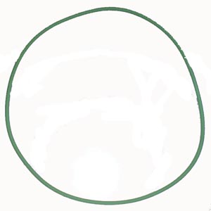 3235 | ORING RUEDA TRASERA / DIAM. INT. 255MM. / ESPESOR 5MM. / MATERIAL FPM (VERDE) ELRING