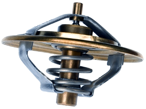 4534 | TERMOSTATO 77ºC WAHLER