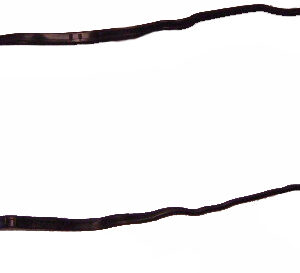 5689 | JUNTA TAPA BALANCINES BLK DIESEL