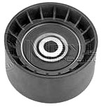 6190 | POLEA TENSORA LISA / PLASTICA / 74MM. X 38MM. TF&P TECHNOLOGY