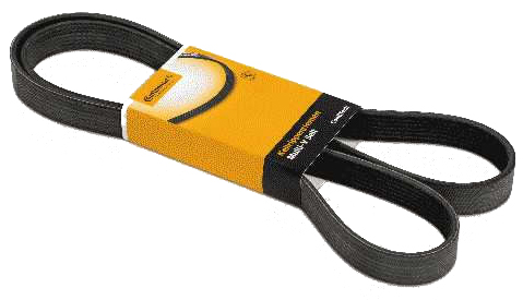 8483 | CORREA POLY V 8PK1781 CT CONTITECH
