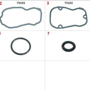 14982 | KIT DESCARBONIZACION SIN RETENES DE VALVULAS SABO